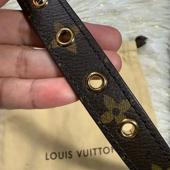 Louis Vuitton Gold Strap Shoulder Strap Monogram Pattern W/ Dustbag - Picture 9 of 16
